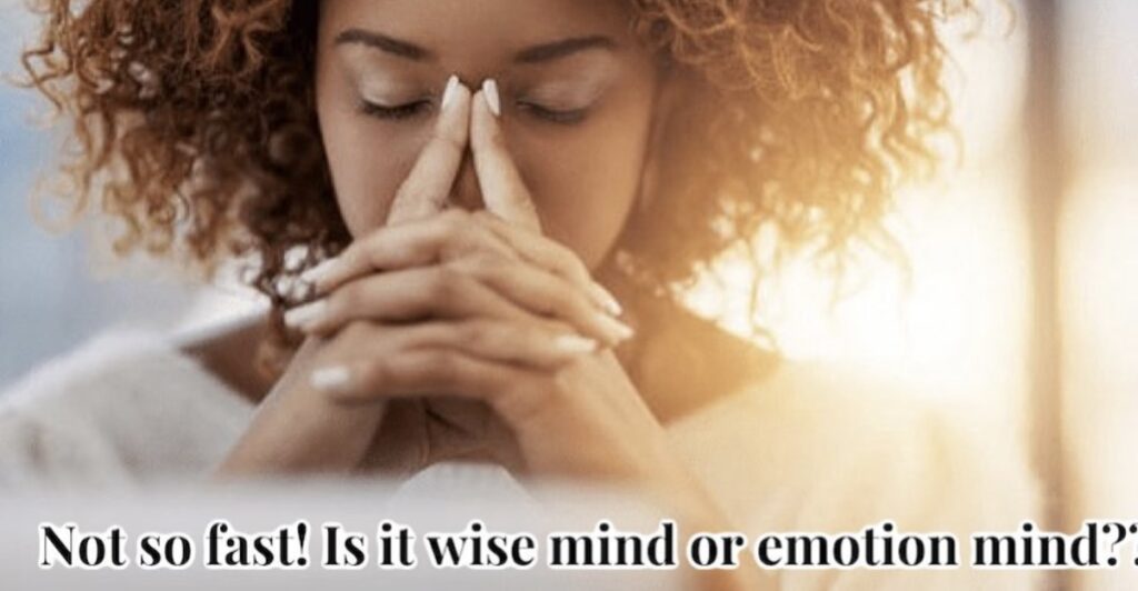 not so fast! is it wise mind or emotion mind?