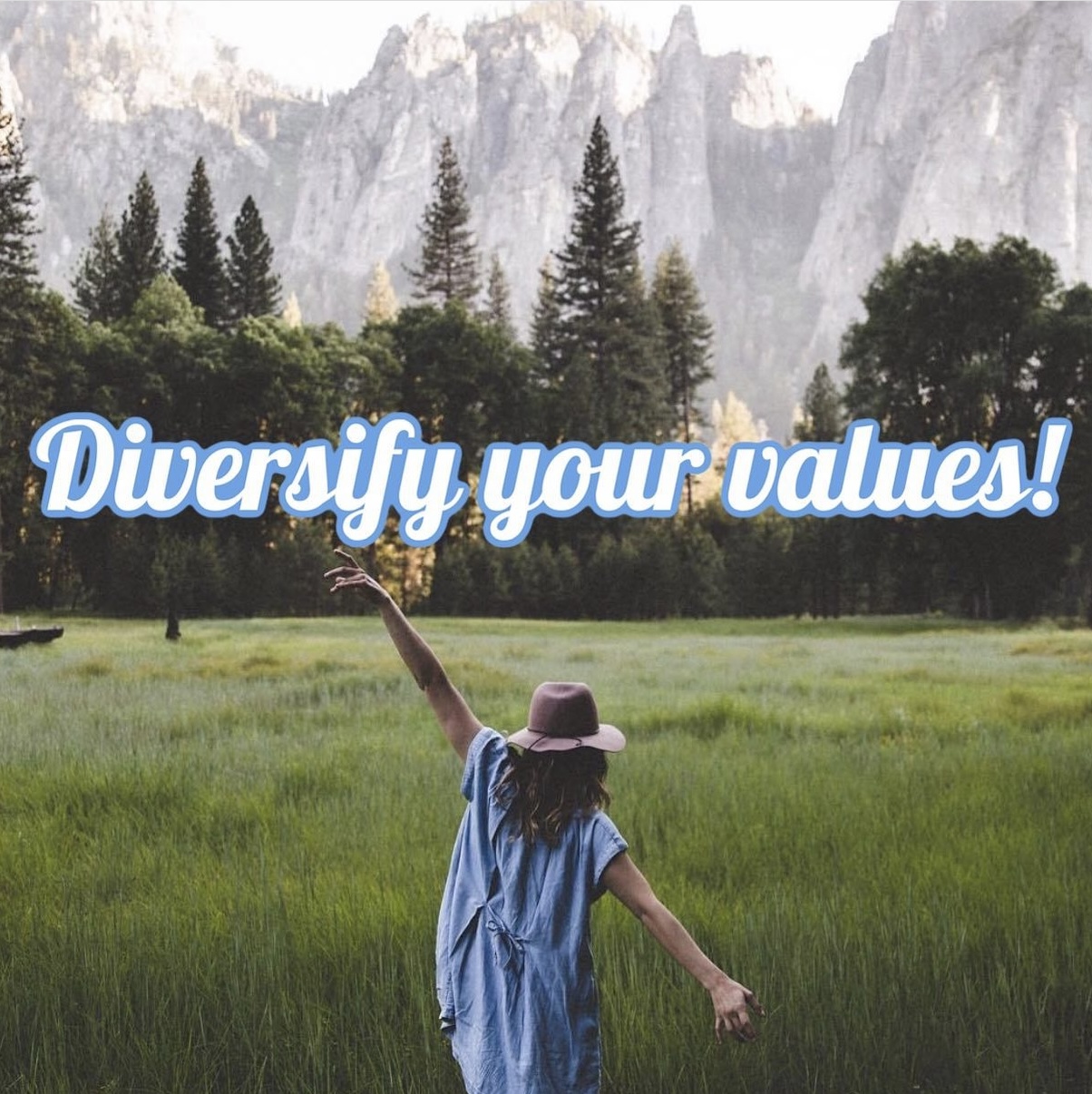diversify your values