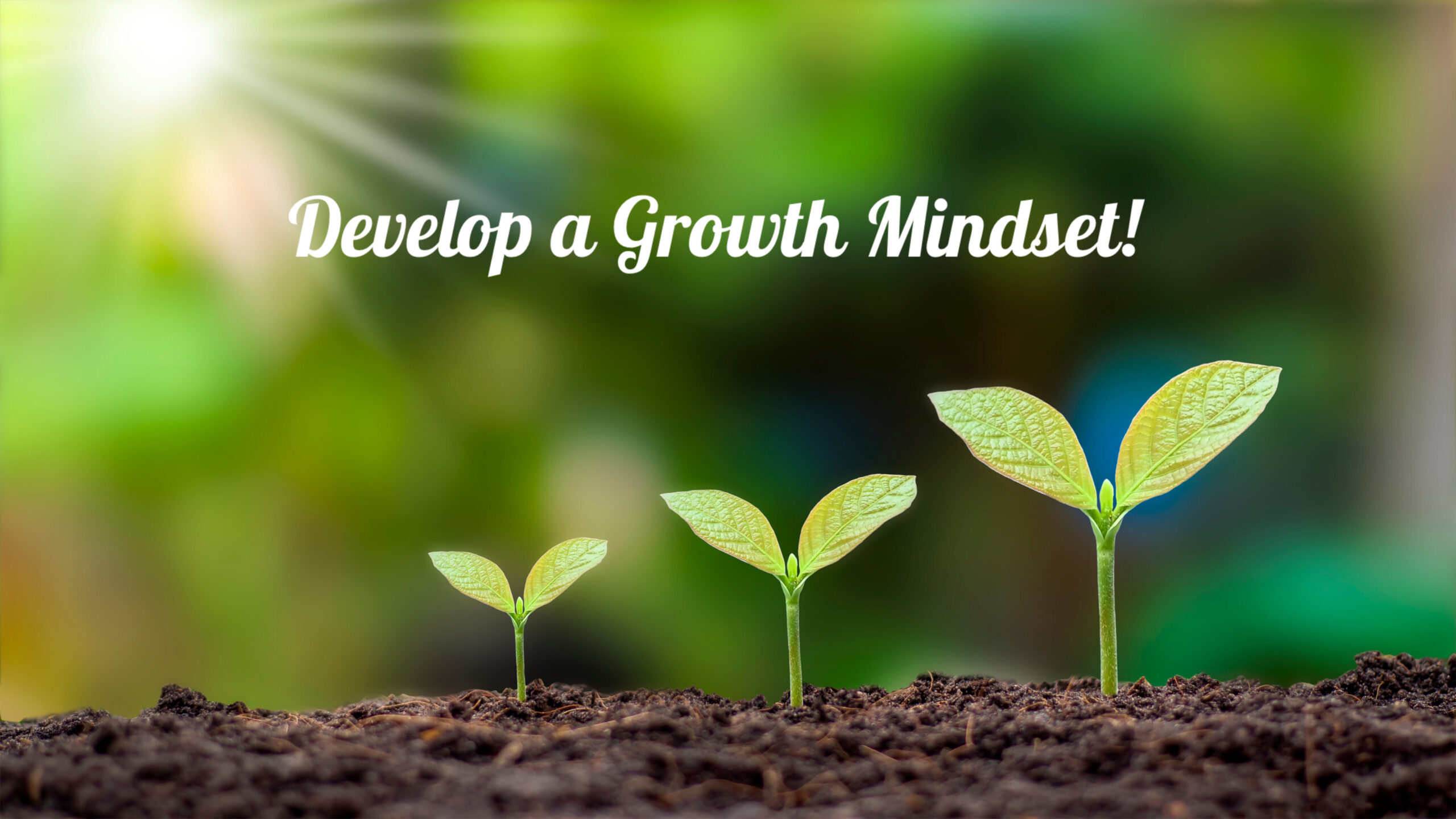 Develop a Growth Mindset!
